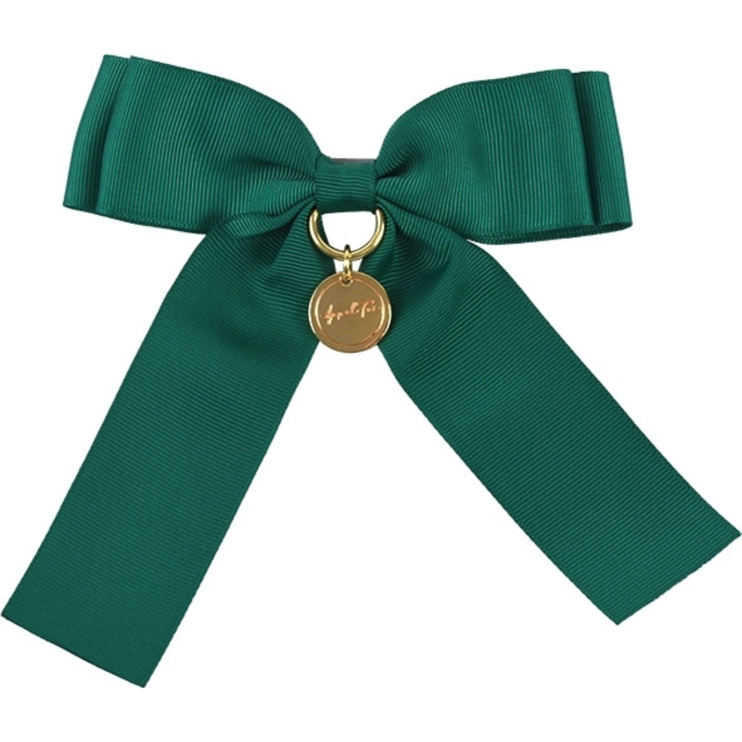 Oshi-katsu Goods: Oshi-color Penlight Ribbon