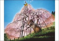 Seiji Fujishiro: A 300-Piece Puzzle