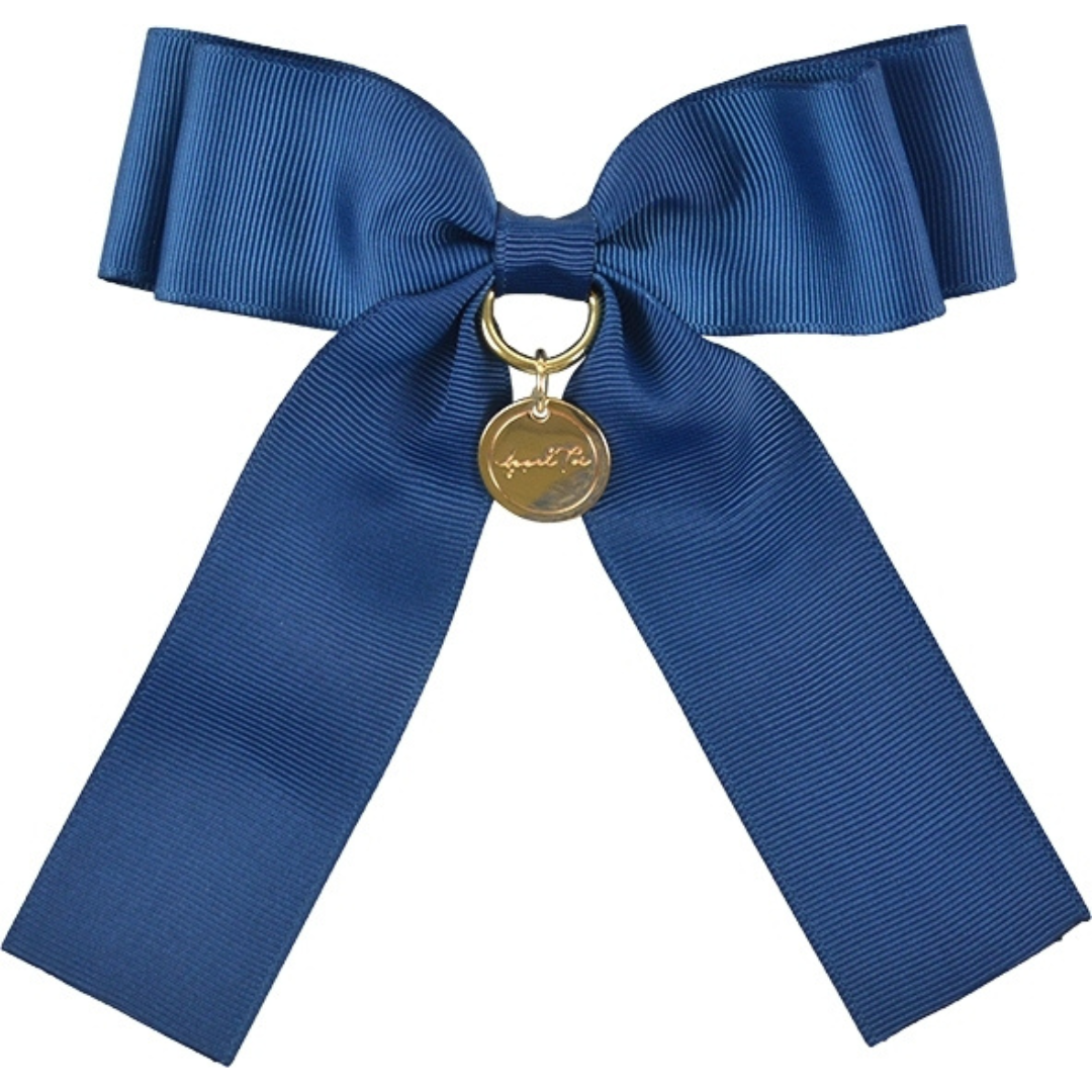 Oshi-katsu Goods: Oshi-color Penlight Ribbon