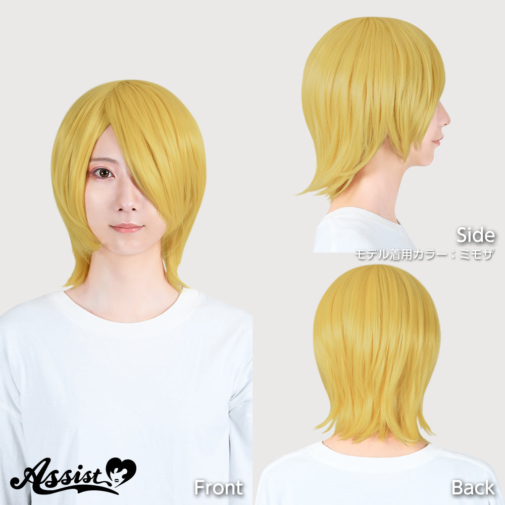 Cosplay Wig - Natural Layered Type - Smoke Black