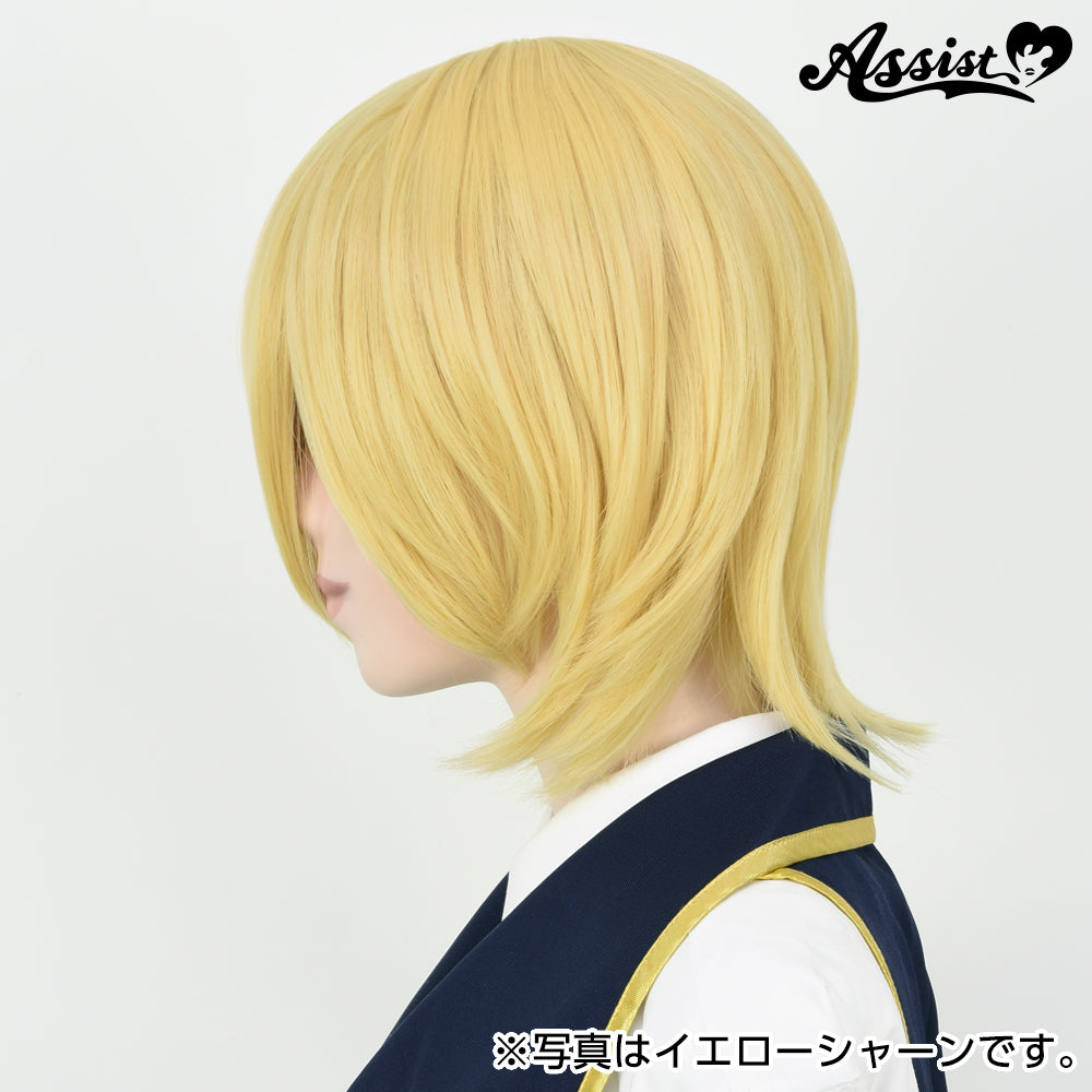 Cosplay Wig - Natural Layered Type - Smoke Black