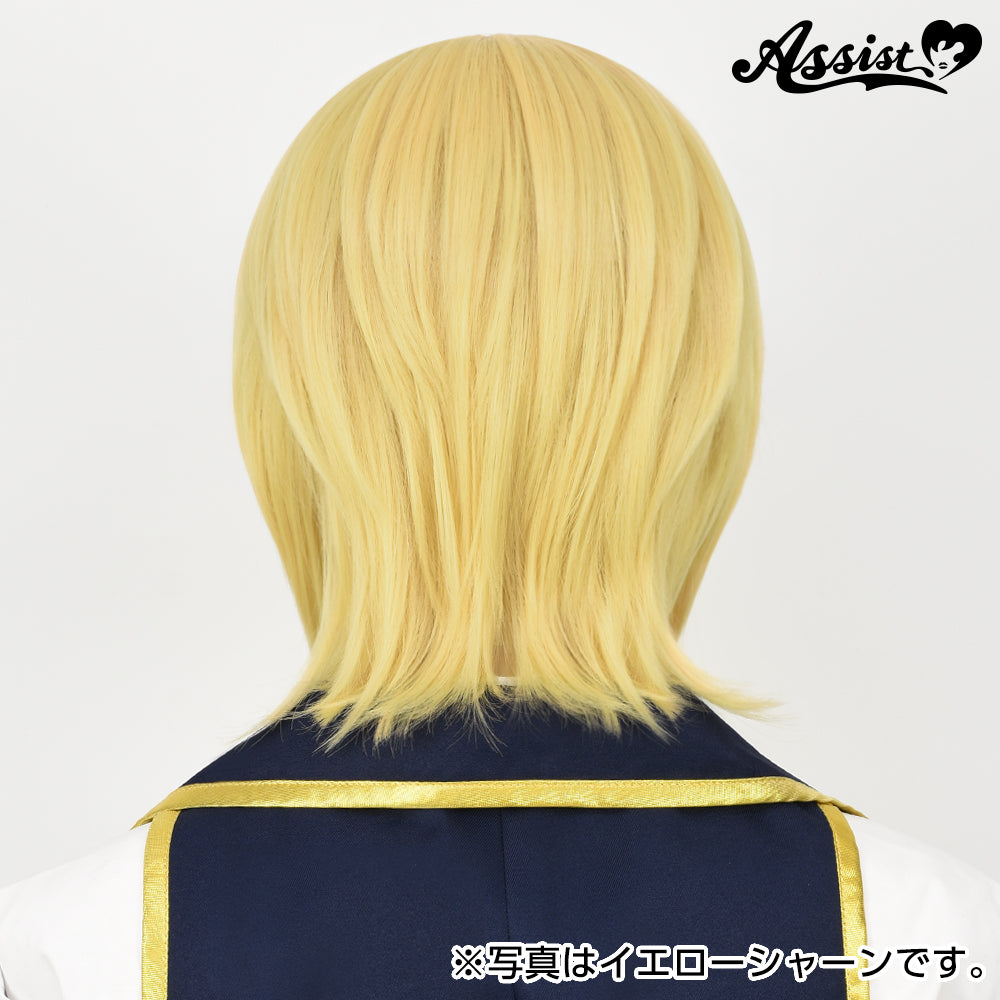 Cosplay Wig - Natural Layered Type - Smoke Black