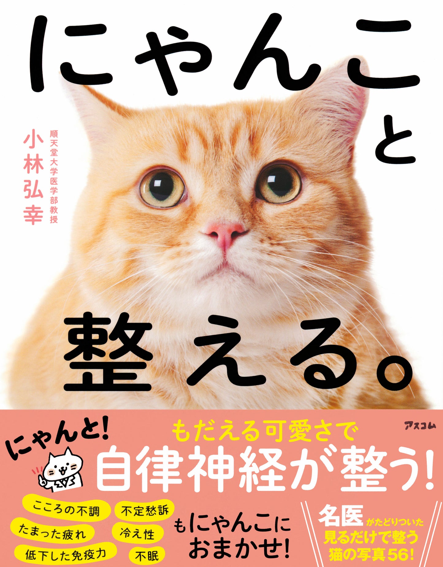 BOOK  "Healing with Cats" / にゃんこと整える。